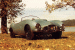 [thumbnail of 1954 Arnolt-Aston Martin-1=mwb=.jpg]